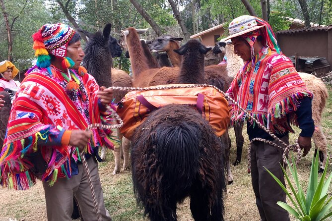 Half Day Andean Llama Trek in the Sacred Valley - Who will enjoy this Sacred Valley outing