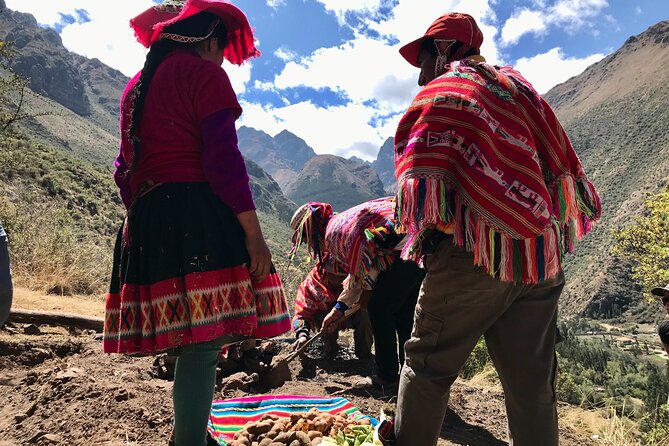 Half Day Andean Llama Trek in the Sacred Valley - Packing lunch onto the llamas