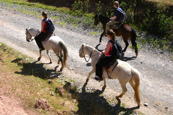 Half day: City Horse Riding - Mistic Tour - Group Service - The views are the real reward