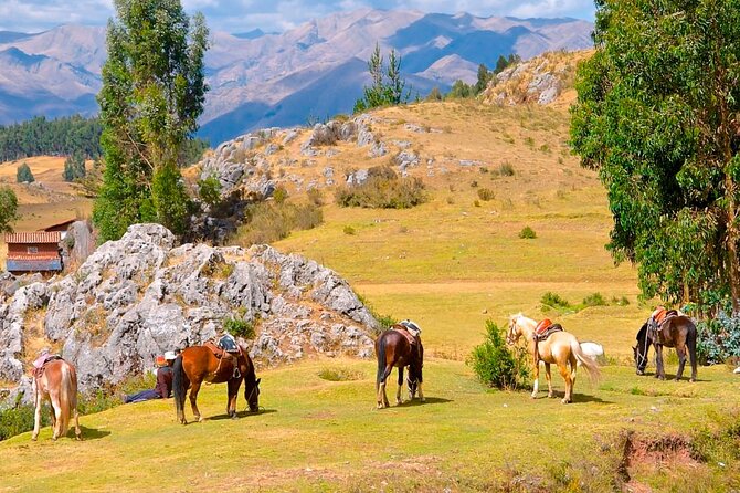 Half day: City Horse Riding - Mistic Tour - Group Service - Guides, group size, and the feel of the outing