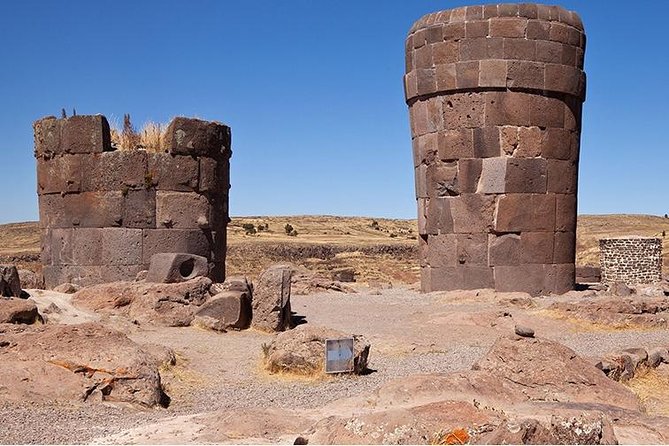Half Day Tour in Sillustani - Umayo Lagoon, plants, animals, and open views
