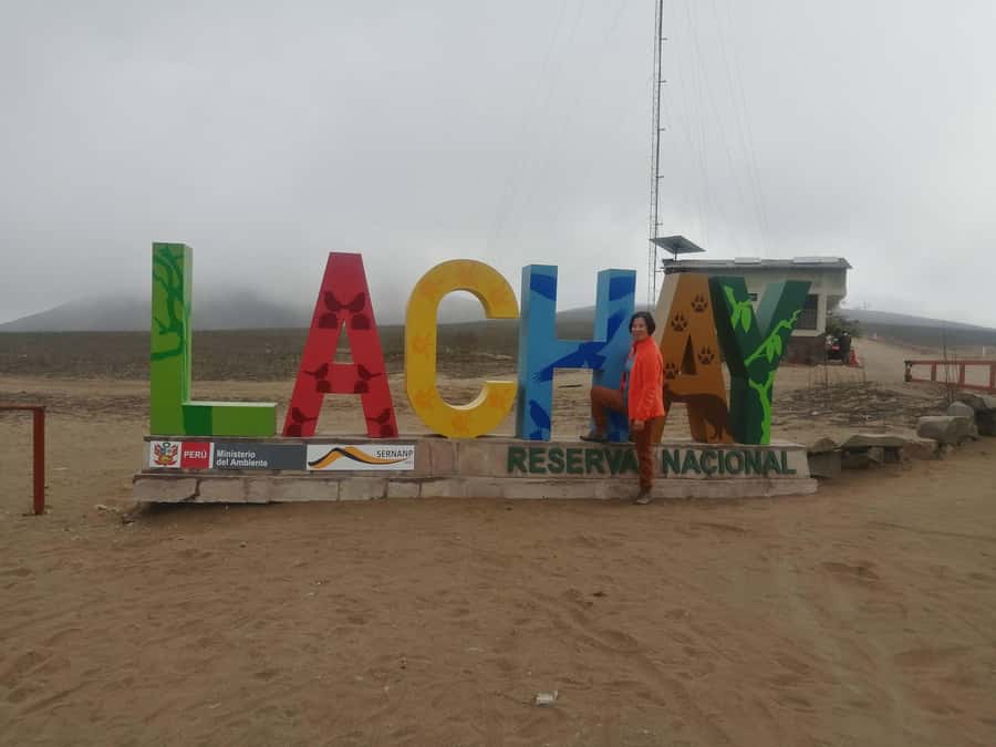 Hiking Lomas de Lachay in Lima - Key points to know before you go