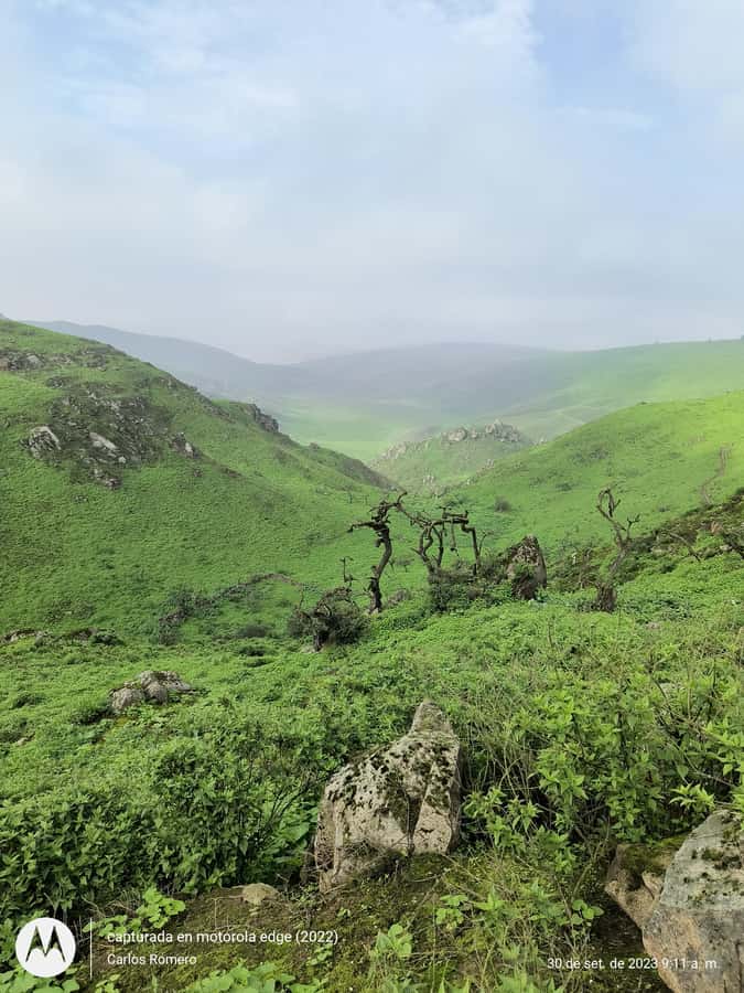 Hiking Lomas de Lachay in Lima - Breakfast and getting ready for the trail