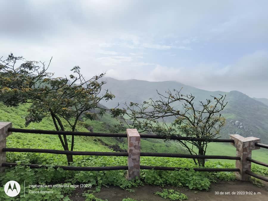 Hiking Lomas de Lachay in Lima - The two-hour walk through hills and dunes