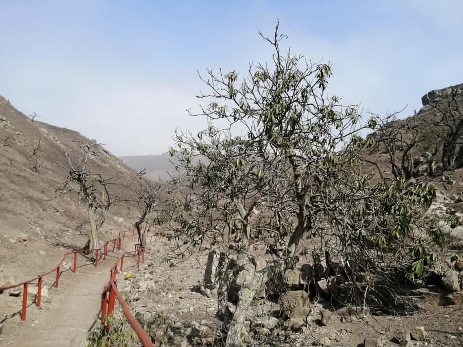Hiking Lomas de Lachay in Lima - Guide quality can shape the whole day