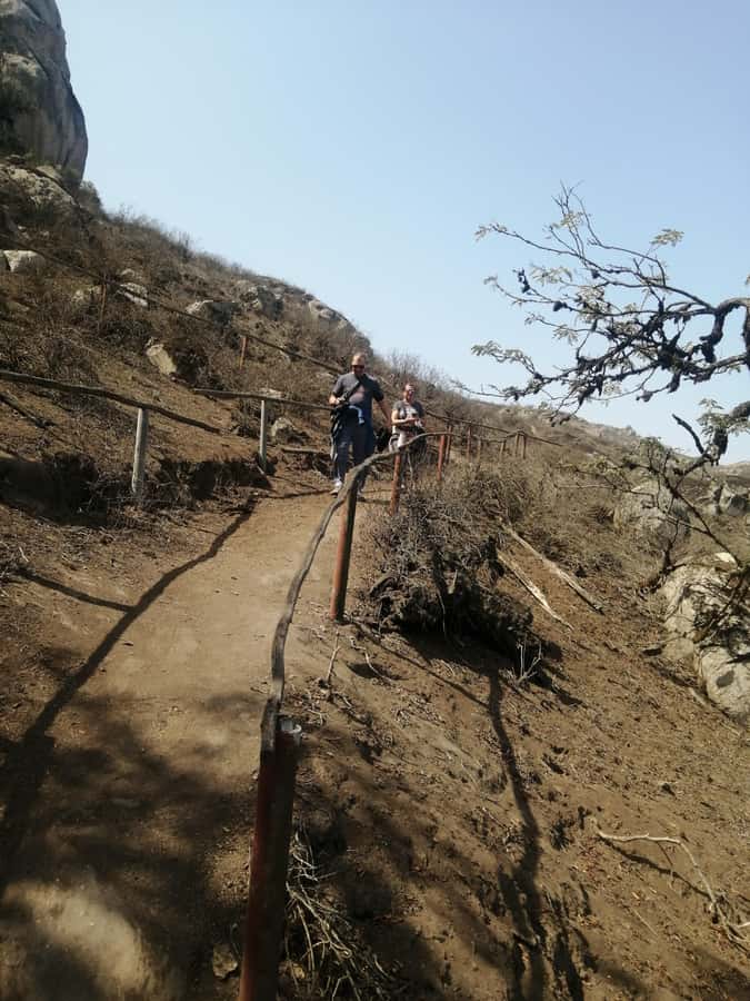 Hiking Lomas de Lachay in Lima - Who should book this outing