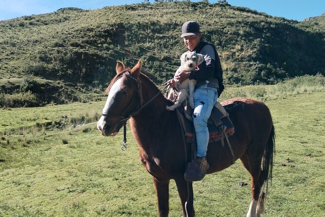 Horseback Riding & Ancestral Secrets: Moon Temple & Inka Sites - Meeting Arnold, Franco, and the horses