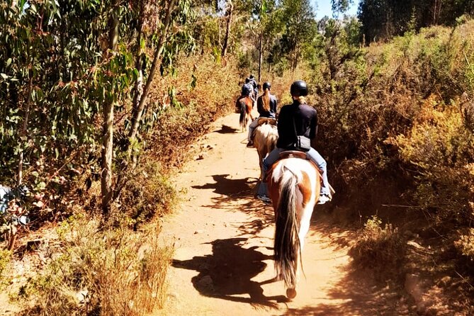 Horseback riding around Sacsayhuaman, Cusco - Sacsayhuaman, Chacan Mountain, and the big view