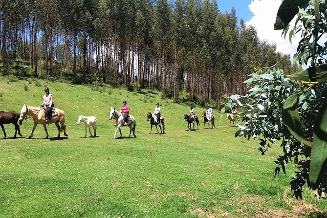 Horseback Riding Mystic Tour Temple of the Moon & Chacan Mountain - Is $65 a good value?