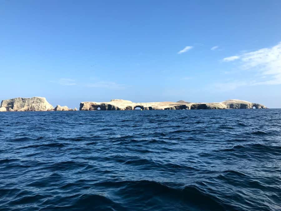 Ica: Ballestas Island & Paracas Reserve Private Tour - Why this six-hour pairing works from Ica