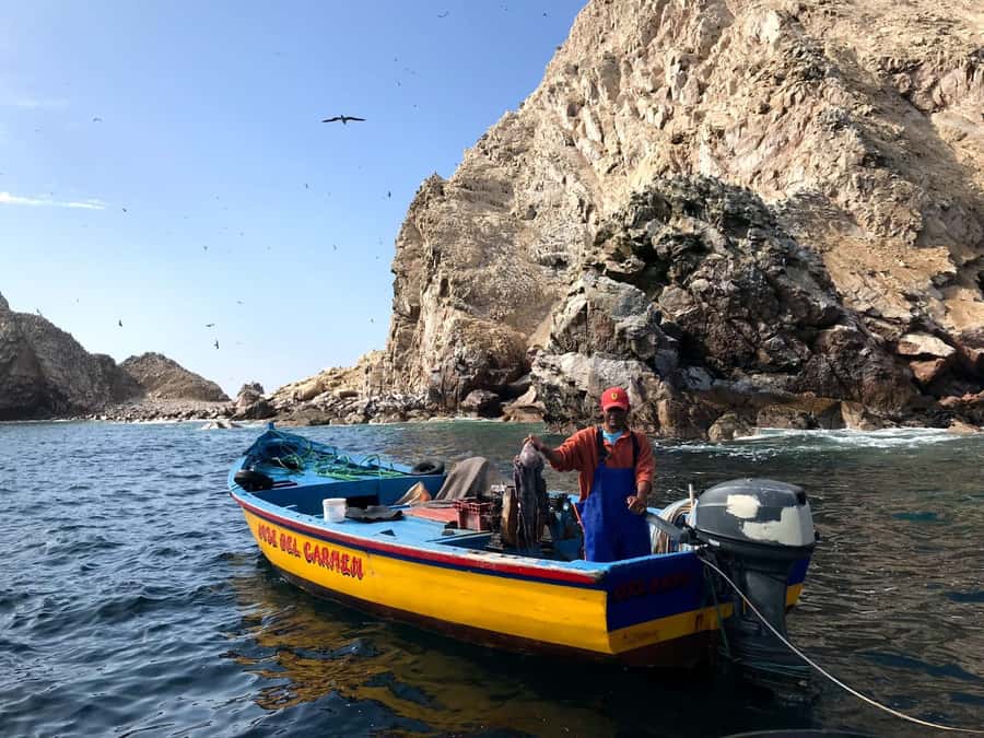 Ica: Ballestas Island & Paracas Reserve Private Tour - The Candelabro, a mystery in the peninsula