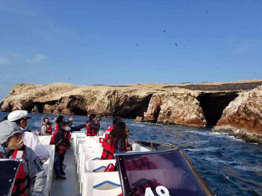 Ica: Ballestas Island & Paracas Reserve Private Tour - Back on land, the Paracas Reserve changes the mood