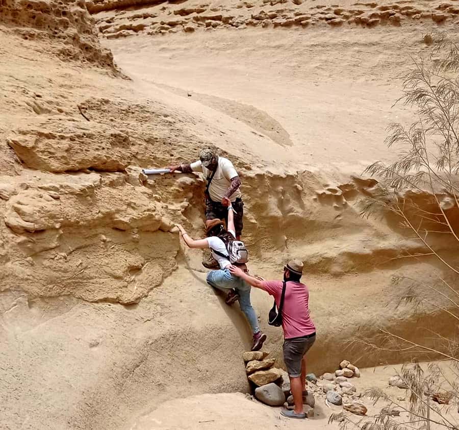 Ica: Canyon of the Lost Tour in Ocucaje Desert - Fossils and the hidden past of Ocucaje