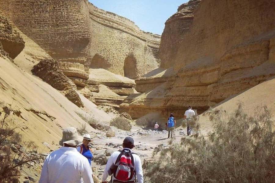 Ica / Huacachina : Canon de los Perdidos - Ica's Hidden Gem - Why Canyon of the Lost is worth your day