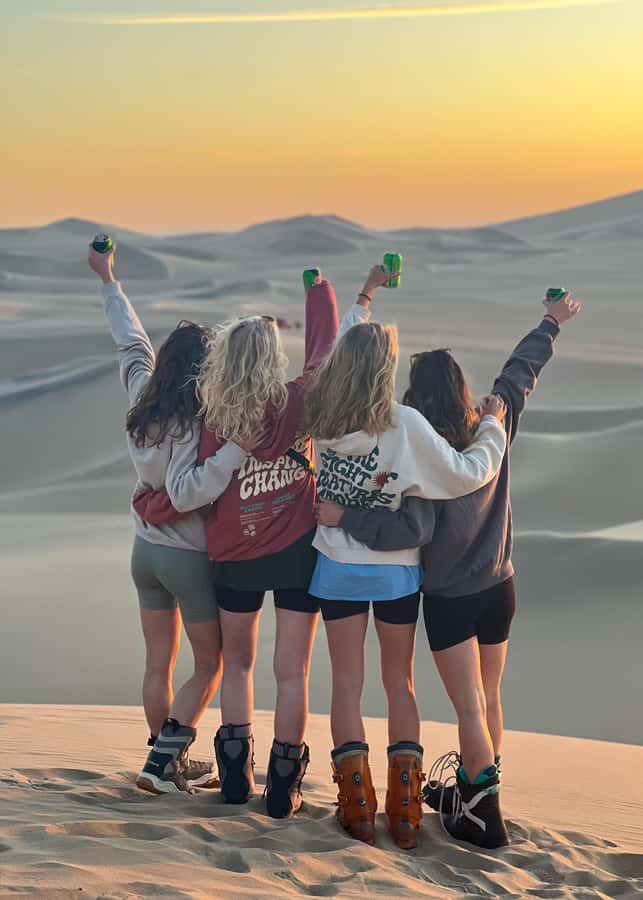 Ica/Huacachina: Crazy buggy in the dunes at sunset + sand sled - The 4x4 buggy ride feels like a desert roller coaster