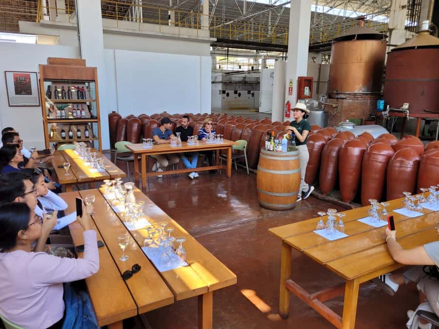 ICA: Pisco and Wine Route with tasting in 03 Wineries - Why Ica is the right place for a pisco tour