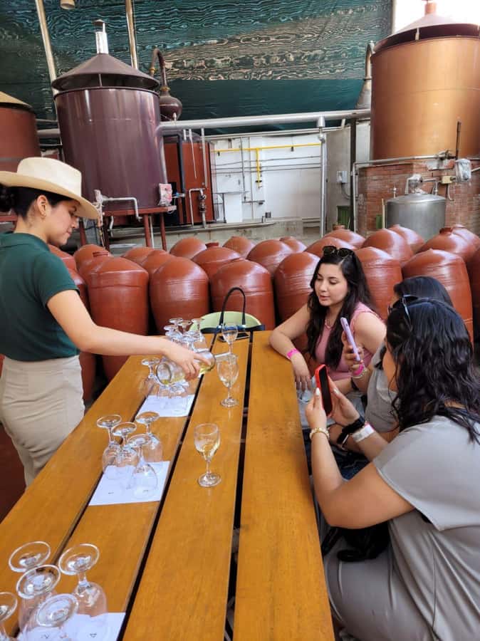 ICA: Pisco and Wine Route with tasting in 03 Wineries - Starting at Hacienda TACAMA