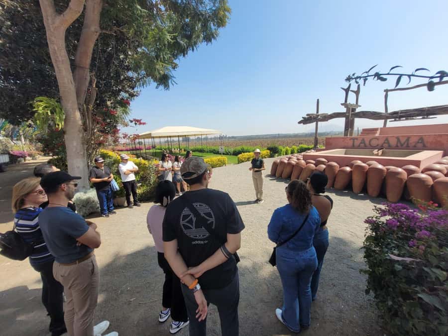 ICA: Pisco and Wine Route with tasting in 03 Wineries - Learning the pisco distillation process