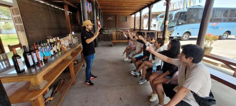 ICA: Pisco and Wine Route with tasting in 03 Wineries - The first tasting with a sommelier