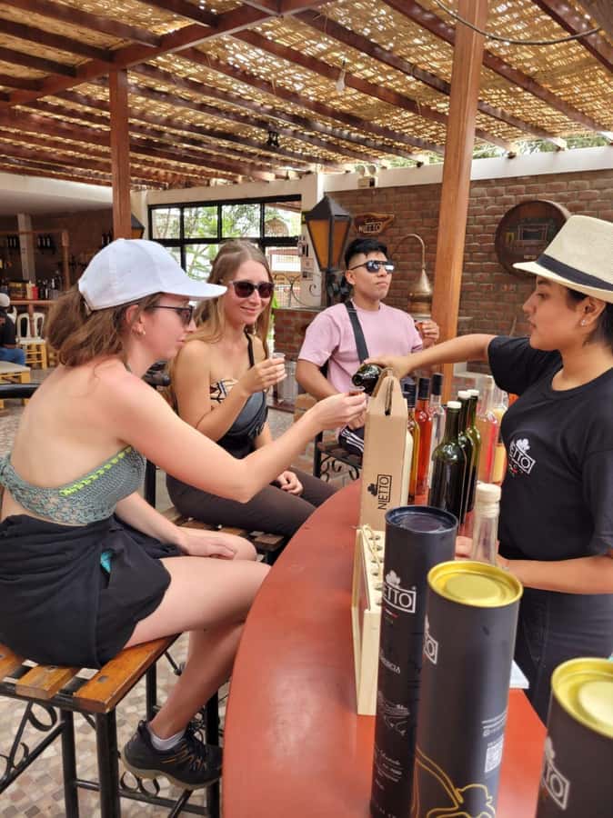 ICA: Pisco and Wine Route with tasting in 03 Wineries - Vineyard walks and views between tastings