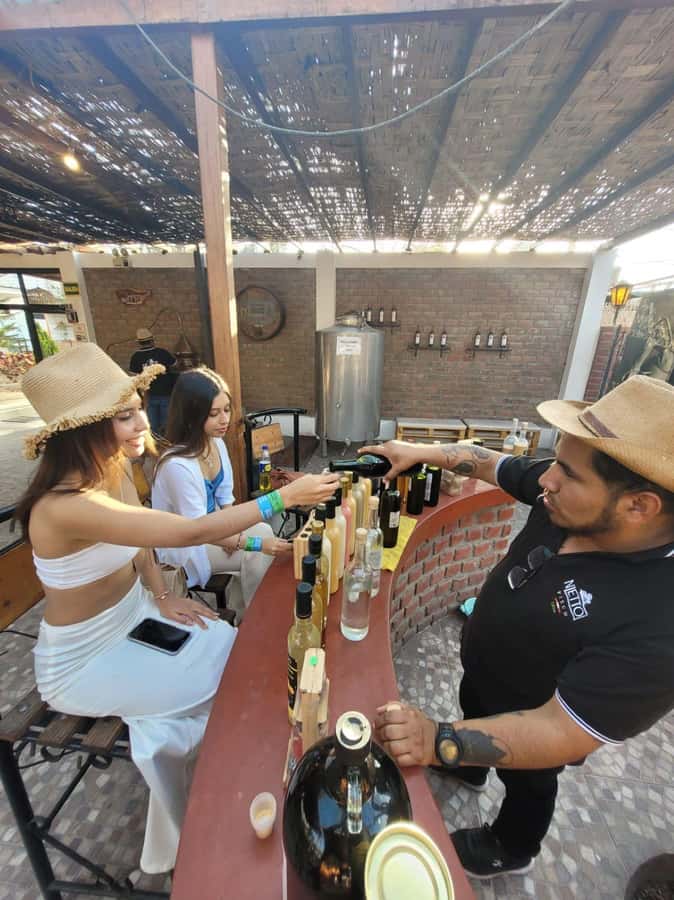 ICA: Pisco and Wine Route with tasting in 03 Wineries - A second winery and premium wine tasting