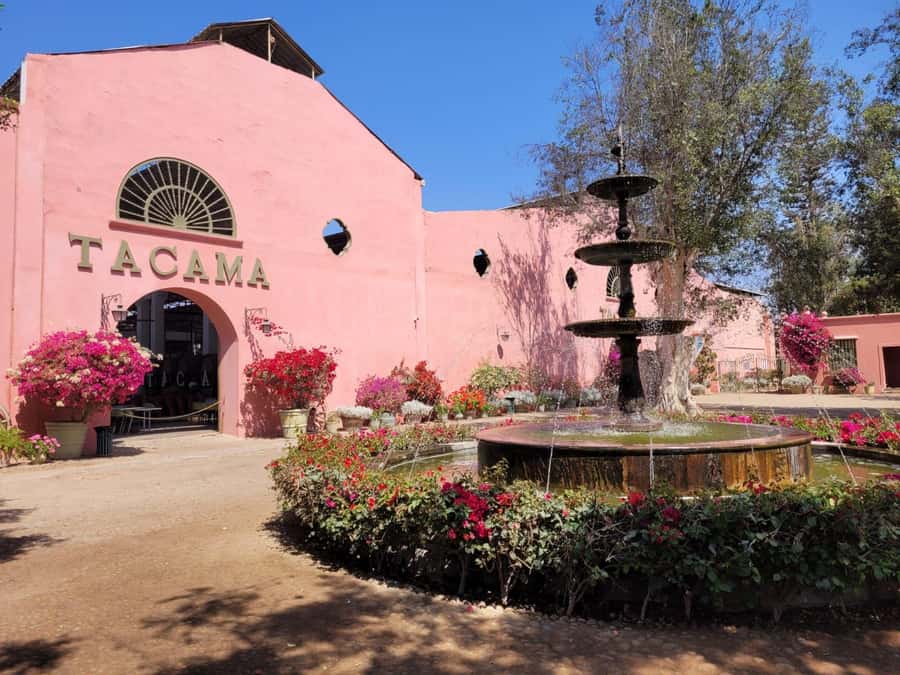 ICA: Pisco and Wine Route with tasting in 03 Wineries - Pickup from Ica or Huacachina