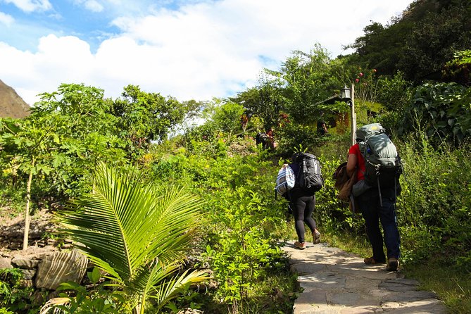 Inca Jungle Premium to Machu Picchu 4-Day and 3-Nights - Day 3: Santa Teresa, the Urubamba River, and Aguas Calientes