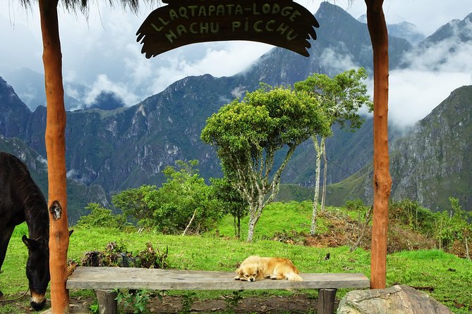 Inca Jungle Premium to Machu Picchu 4-Day and 3-Nights - Day 1: From Cusco to Málaga Pass by bicycle