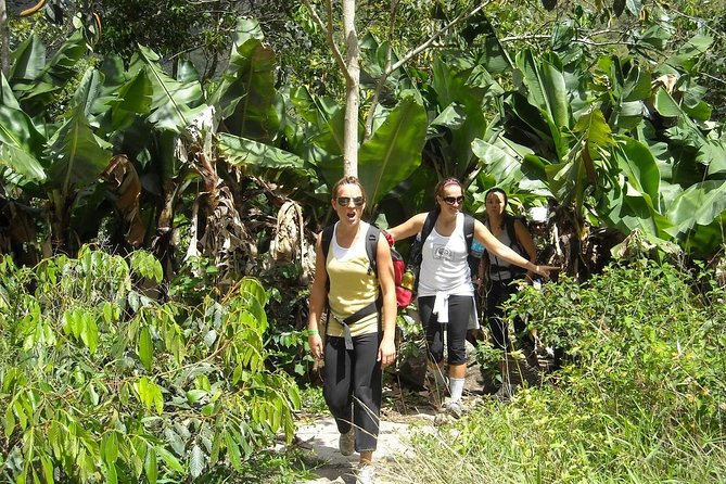 Inca Jungle Tour to Machu Picchu 4D - 3N Standard - Ziplining, bridges, and the walk to Aguas Calientes
