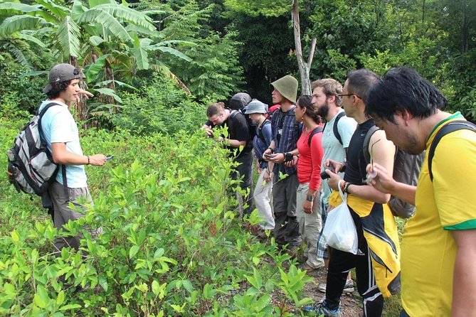 Inca Jungle Tour to Machu Picchu 4D - 3N Standard - What the $470 price really covers