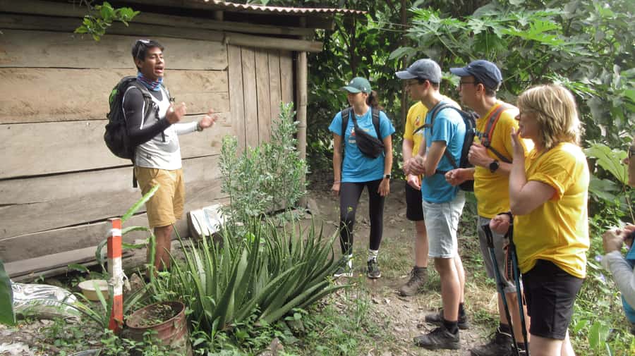 Inca Jungle Trail to Machu Picchu in 4 Days - Key points before booking