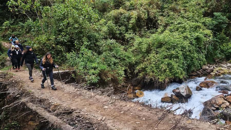 Inka Jungle trek to Machu Picchu 3 D/ 2 N - Who should book the Inka Jungle trek?