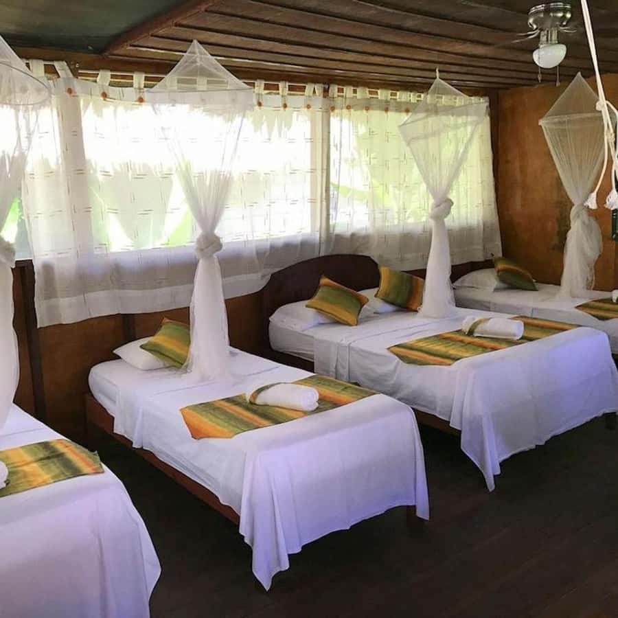 Iquitos: 2 Days and 1 Night Guided Amazon Jungle Tour - Returning to Iquitos by boat