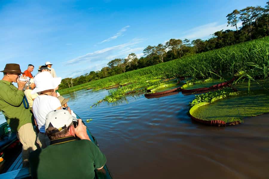 Iquitos: 2 Days and 1 Night Guided Amazon Jungle Tour - After sunset, the forest changes character