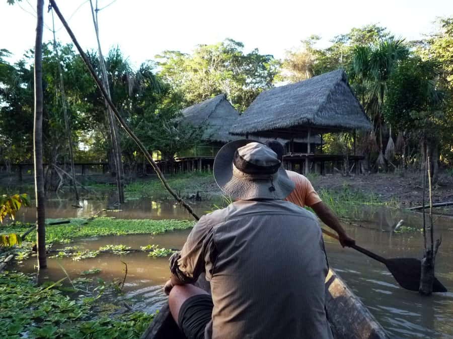 Iquitos: 3 Days and 2 Nights Guided Amazon Jungle Tour - Day 2: Dawn birds, canopy thrills, and pink dolphins