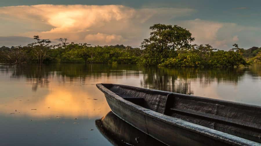 Iquitos: 3 Days and 2 Nights Guided Amazon Jungle Tour - Lodge life: Clean rooms, simple comforts
