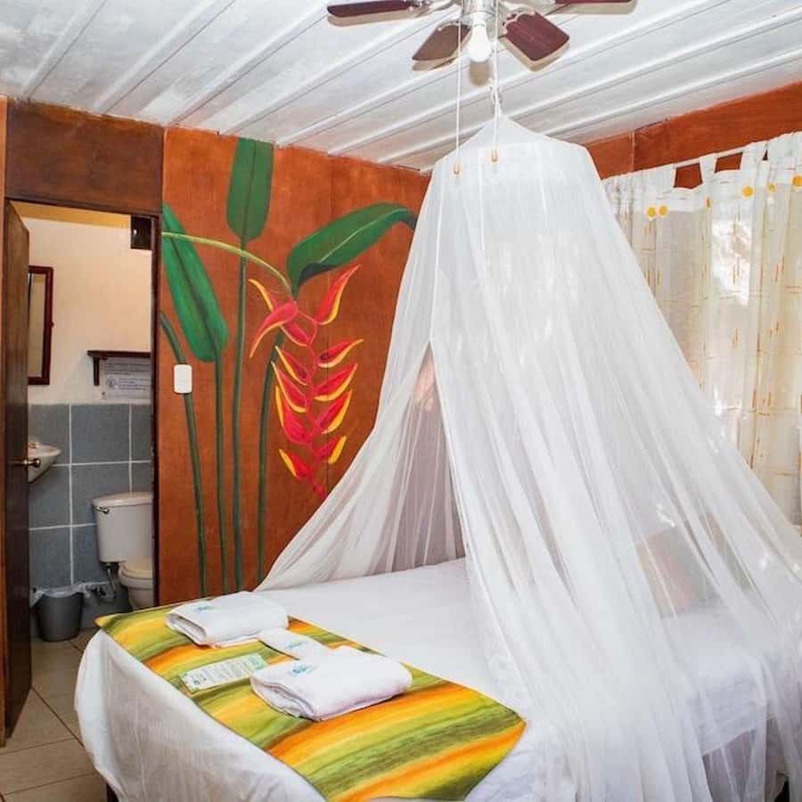 Iquitos: 3 Days and 2 Nights Guided Amazon Jungle Tour - Guides and group size