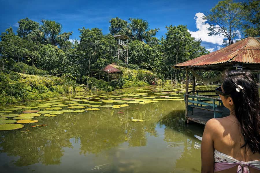 Iquitos: 6-Hour Wonderful Wildlife Guided Tour - Is $96 a fair price?