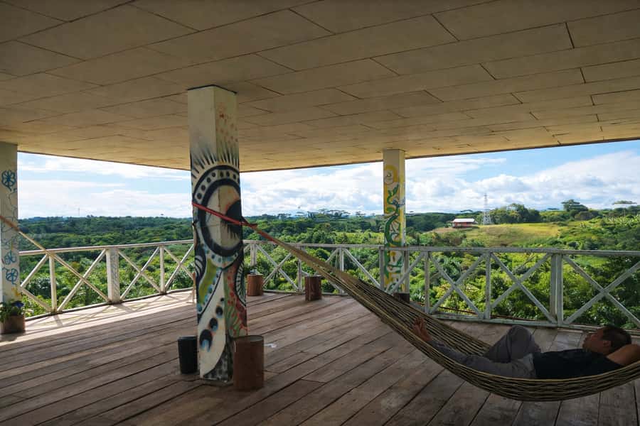 Iquitos: 6-Hour Wonderful Wildlife Guided Tour - Victoria amazonica, the world’s largest lily leaves