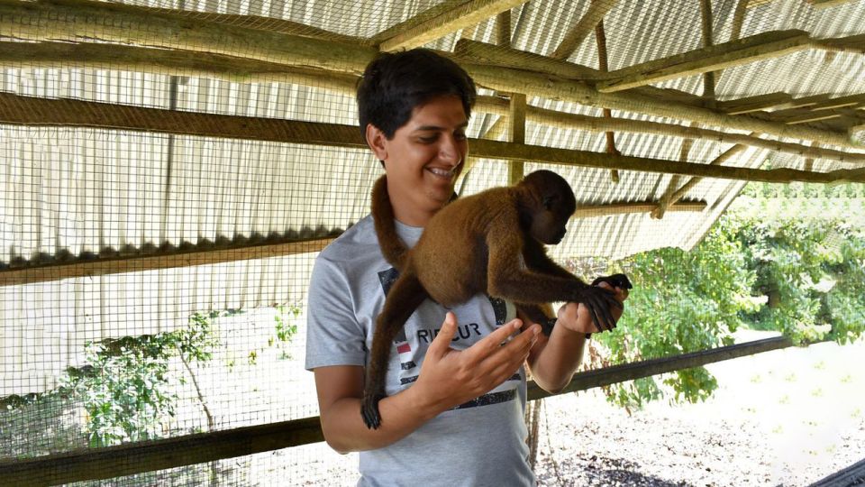 Iquitos: 6-Hour Wonderful Wildlife Guided Tour - Walking to the Lupuna tree