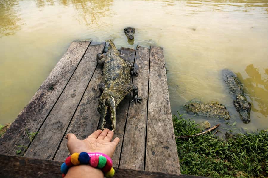 Iquitos: 6-Hour Wonderful Wildlife Guided Tour - The long ride back to Iquitos