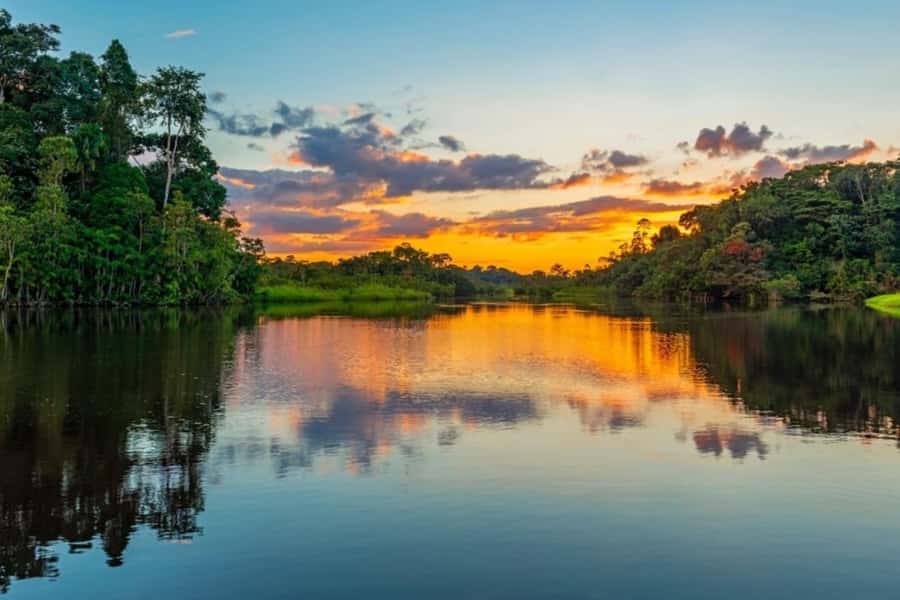 Iquitos: Amazon Jungle in 2 Days: Adventure and Expedition - A botanical walk through the jungle
