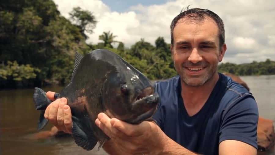 Iquitos: Piranha Fishing Experience in the Amazon jungle - The Amazon fishing experience in brief