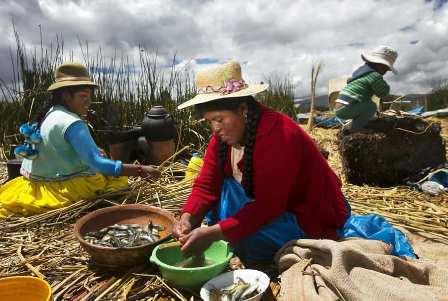 Lake Titicaca, Uros and Taquile Full-Day Tour - Why Lake Titicaca works best as a full-day trip