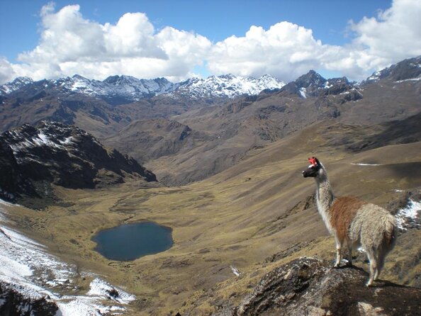 Lares Trek to Machu Picchu 4 days with Panoramic Train - Why the Lares route feels different