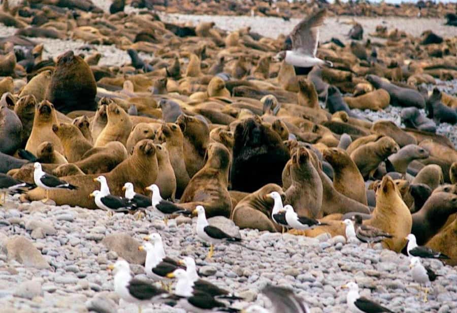 Lima: 7-Day Inca Tour with Flights and Machu Picchu - Day 5: Sacred spaces at Machu Picchu