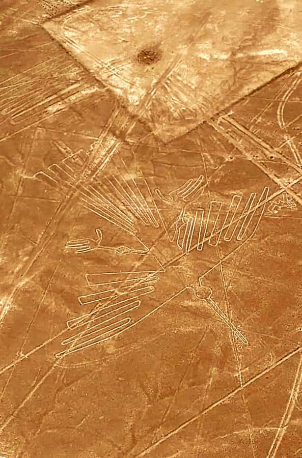 Lima and Nasca : Ballestas -Huacachina-Nasca Lines - What $490 includes, and where the value sits