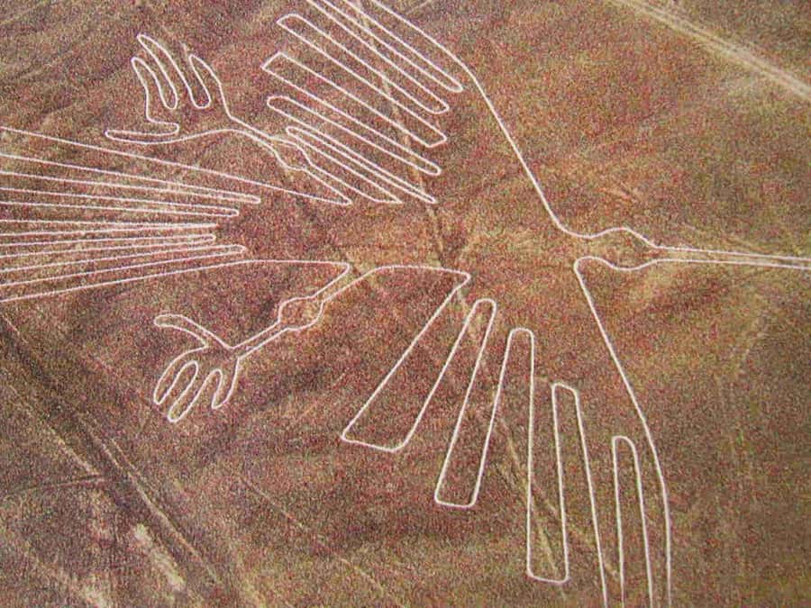 Lima: Ballestas Islands, Huacachina Oasis & Nazca Lines Tour - The Three Experiences That Make This Day Special