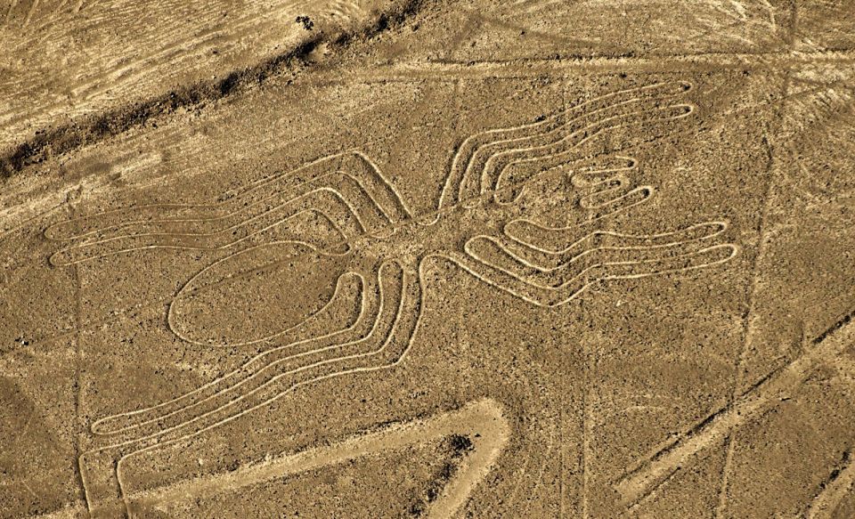Lima: Ballestas Islands, Huacachina Oasis & Nazca Lines Tour - Lunch and the Road to Huacachina
