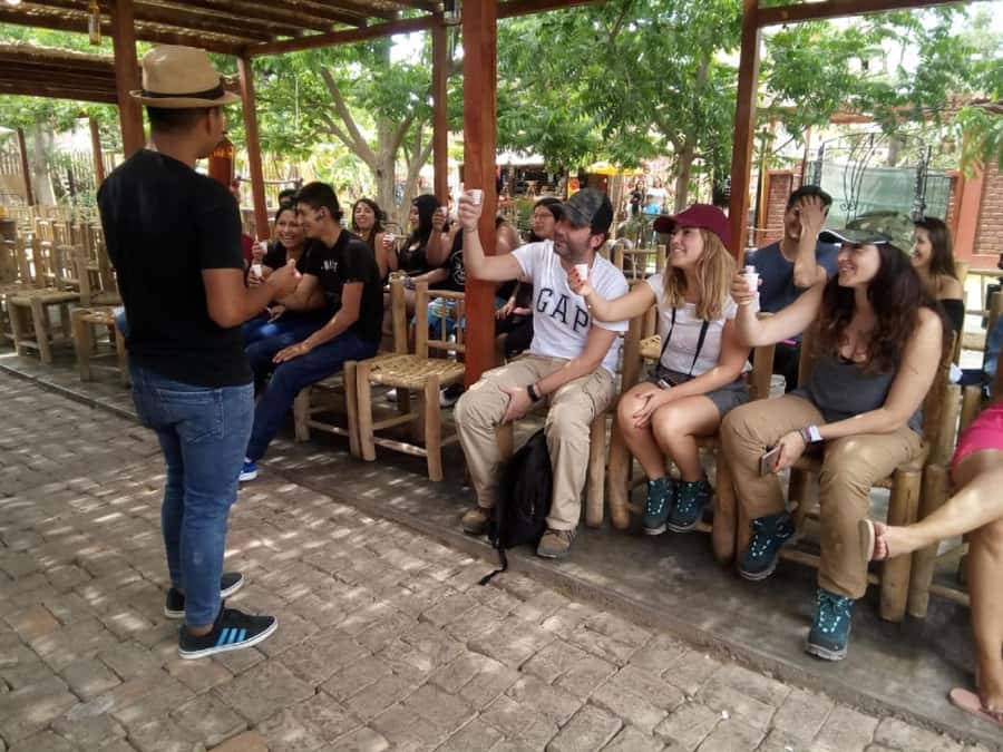 Lima: Ballestas Islands, Huacachina Oasis & Nazca Lines Tour - Huacachina’s Buggy Ride and Sandboarding